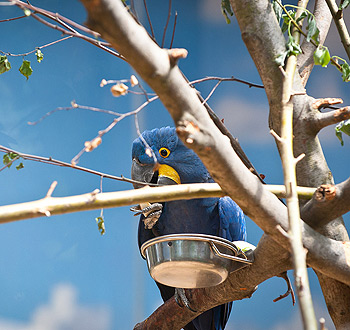 重塑企业格局的ddos测压网站