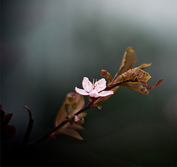 免费ddos压力测试平台