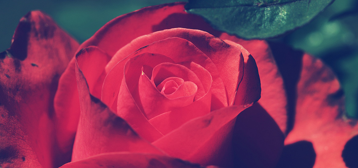 ddos压力测试网页端