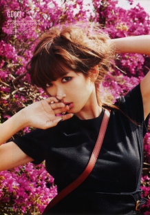 免费ddos压力测试平台